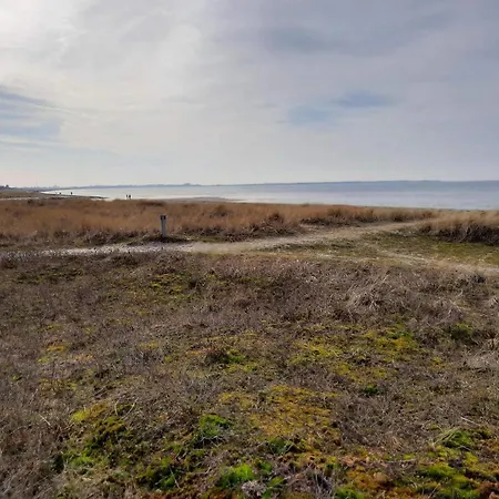 6 Person In Store Fuglede-by Traum