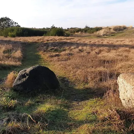 6 Person In Store Fuglede-by Traum *