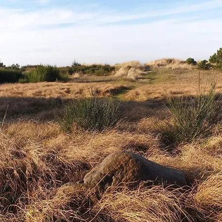 Vakantiehuis 6 Person In Store Fuglede-by Traum Store Fuglede